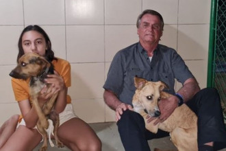 FAB poderá transportar pets dos brasileiros que serão repatriados da guerra na Ucrânia